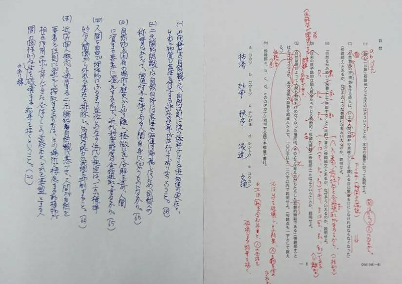 東進 林修先生による東大現代文2010年-19年の解説解答採点基準 駿台 ...