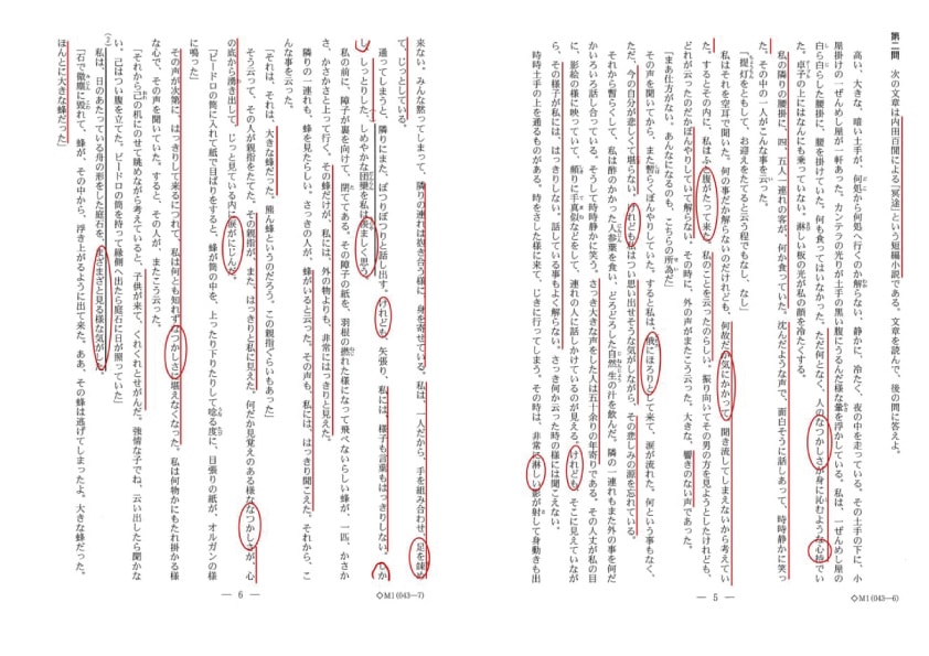 ２０２１年筑波大学の国語第２問の問題です。