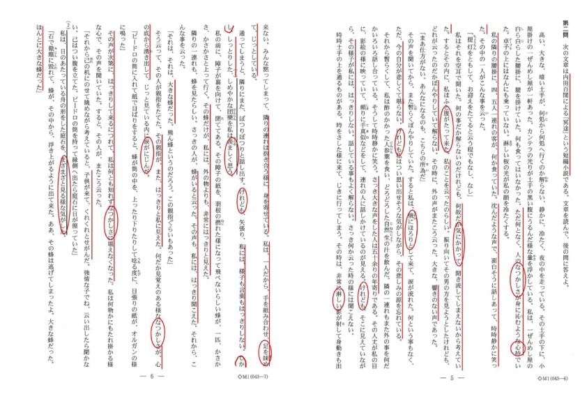 ２０２１年筑波大学の国語第２問の問題です。